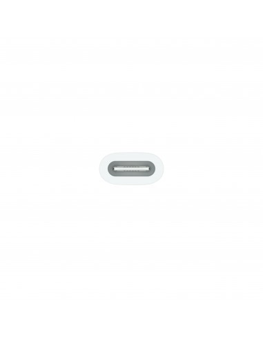 apple-adaptador-usb-c-a-apple-pencil-2.jpg