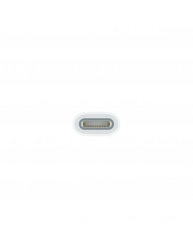 apple-adaptador-usb-c-a-apple-pencil-3.jpg