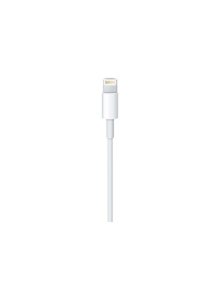 apple-cable-de-conector-lightning-a-usb-50cm-blanco-2.jpg