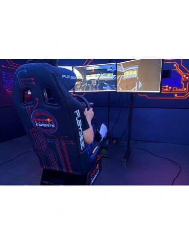 Playseat Asiento Evolution PRO - Red Bull Racing Esports