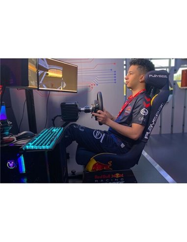 Playseat Asiento Evolution PRO - Red Bull Racing Esports
