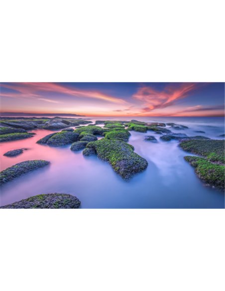 xiaomi-tv-a2-led-ultrahd-4k-hdr10-55-televisor-12.jpg