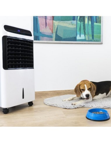 cecotec-energysilence-puretech-6500-climatizador-evaporativo-6.jpg