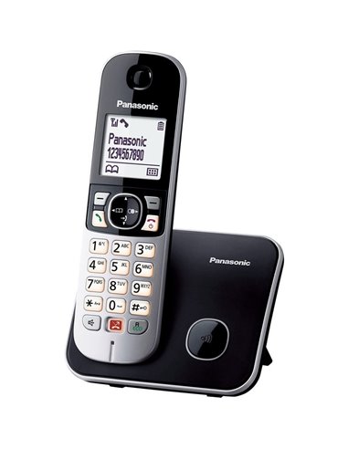 Panasonic KX-TG6851SP Teléfono Fijo Inalámbrico Gris/Negro