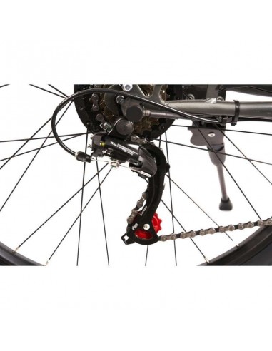 Nilox J5 Plus e-Bike Bicicleta Eléctrica de Paseo