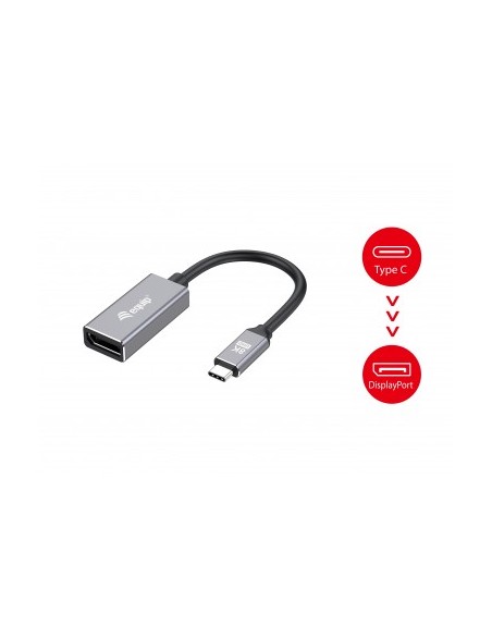 equip-cable-adaptador-usb-c-a-displayport-14-8k-30hz-4.jpg