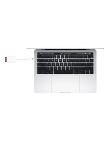 apple-adaptador-de-usb-c-a-lector-de-tarjetas-sd-5.jpg