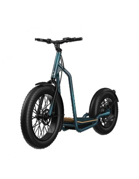 Cecotec Trotón Bicinete Eléctrico motor 1300W DGT