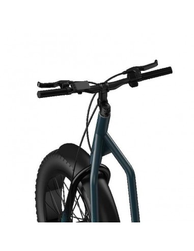 Cecotec Trotón Bicinete Eléctrico motor 1300W DGT