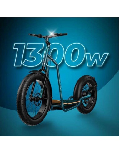 Cecotec Trotón Bicinete Eléctrico motor 1300W DGT