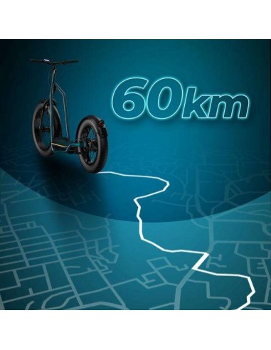 Cecotec Trotón Bicinete Eléctrico motor 1300W DGT