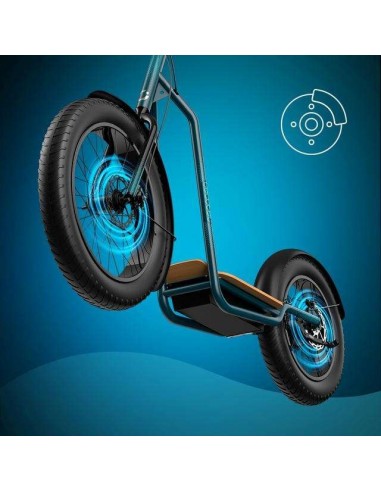 Cecotec Trotón Bicinete Eléctrico motor 1300W DGT