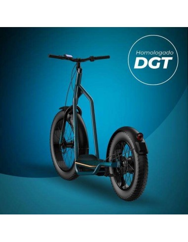 Cecotec Trotón Bicinete Eléctrico motor 1300W DGT