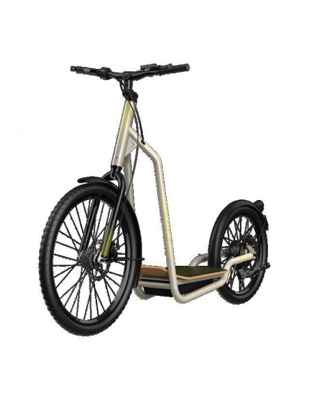 Cecotec Trotón Bicinete Eléctrico motor 1000W DGT