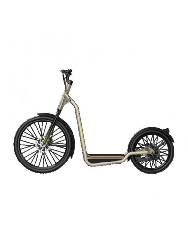 Cecotec Trotón Bicinete Eléctrico motor 1000W DGT