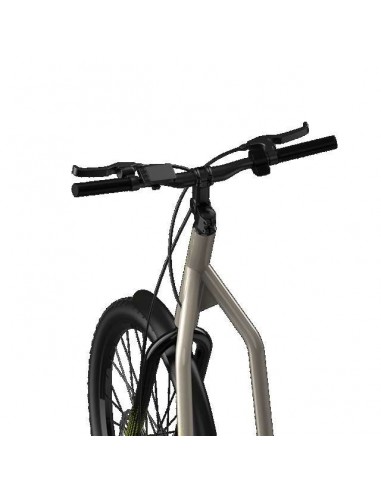Cecotec Trotón Bicinete Eléctrico motor 1000W DGT