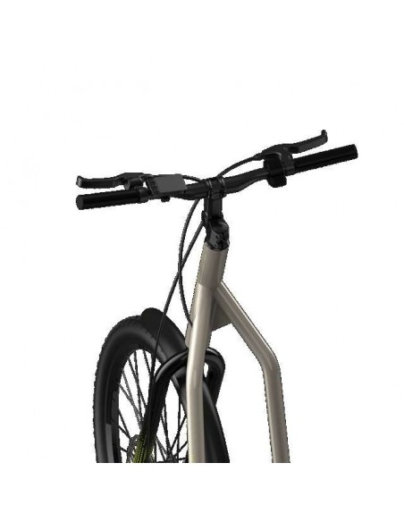 Cecotec Trotón Bicinete Eléctrico motor 1000W DGT