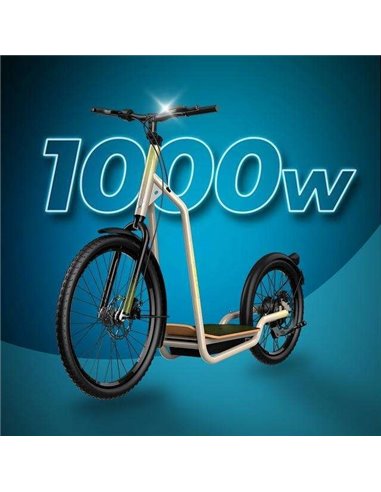 Cecotec Trotón Bicinete Eléctrico motor 1000W DGT