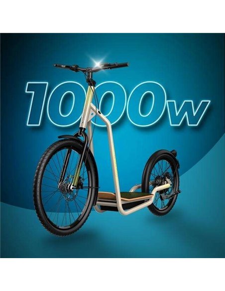 Cecotec Trotón Bicinete Eléctrico motor 1000W DGT