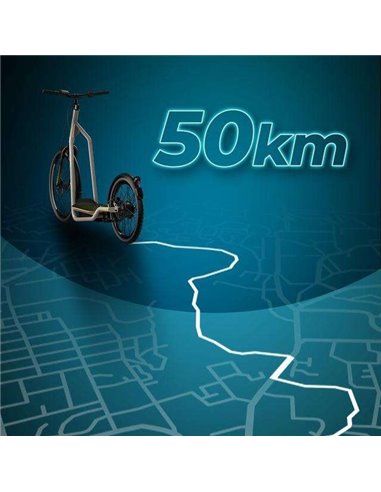 Cecotec Trotón Bicinete Eléctrico motor 1000W DGT