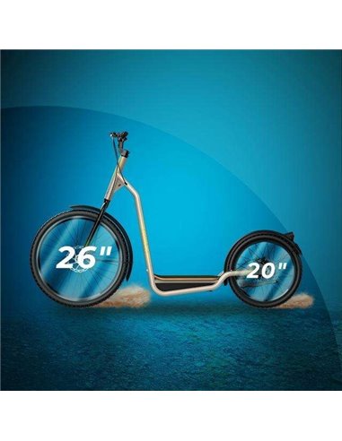 Cecotec Trotón Bicinete Eléctrico motor 1000W DGT