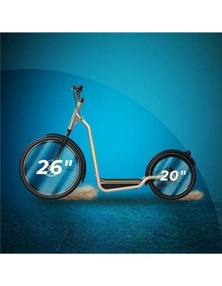 Cecotec Trotón Bicinete Eléctrico motor 1000W DGT