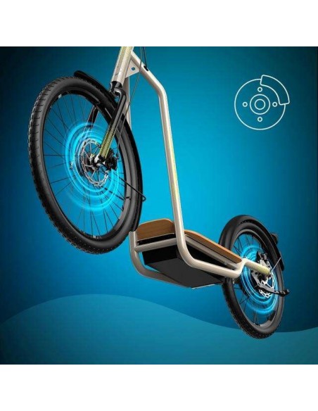 Cecotec Trotón Bicinete Eléctrico motor 1000W DGT