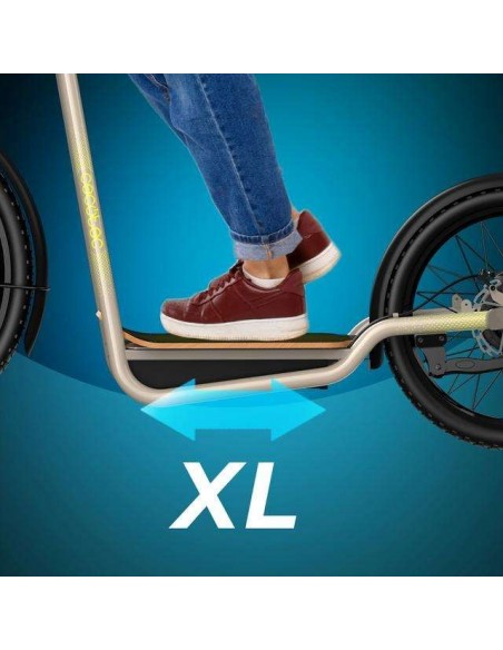 Cecotec Trotón Bicinete Eléctrico motor 1000W DGT