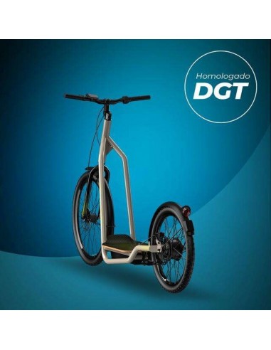Cecotec Trotón Bicinete Eléctrico motor 1000W DGT