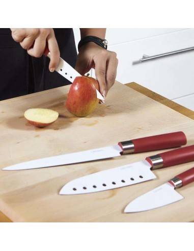 Cecotec Juego de 4 Cuchillos Profesionales de Estilo japonés Sanyoku