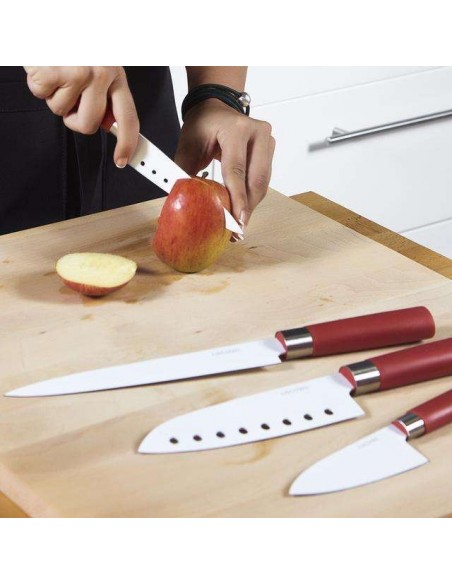 Cecotec Juego de 4 Cuchillos Profesionales de Estilo japonés Sanyoku