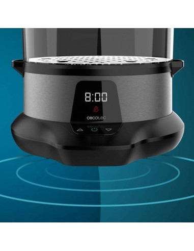 Cecotec Vapovita 3000 Pro Vaporera 1L 1000W