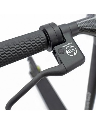 SmartGyro Z-Pro DGT Patinete Eléctrico 10" 600W Negro