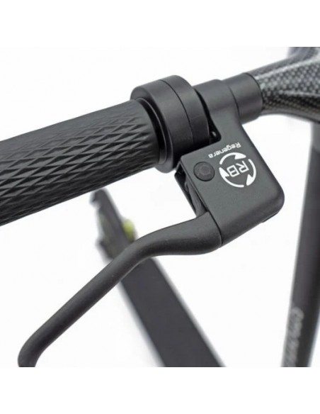 SmartGyro Z-Pro DGT Patinete Eléctrico 10" 600W Negro