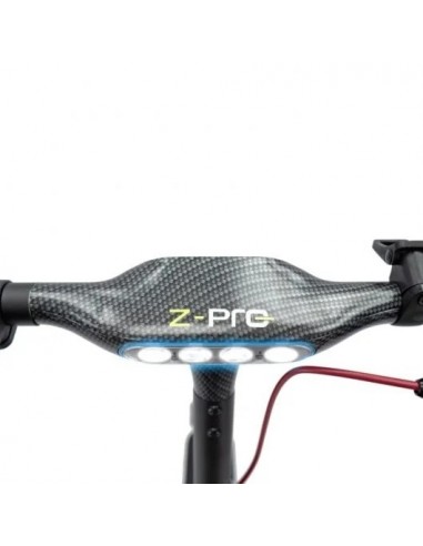 SmartGyro Z-Pro DGT Patinete Eléctrico 10" 600W Negro