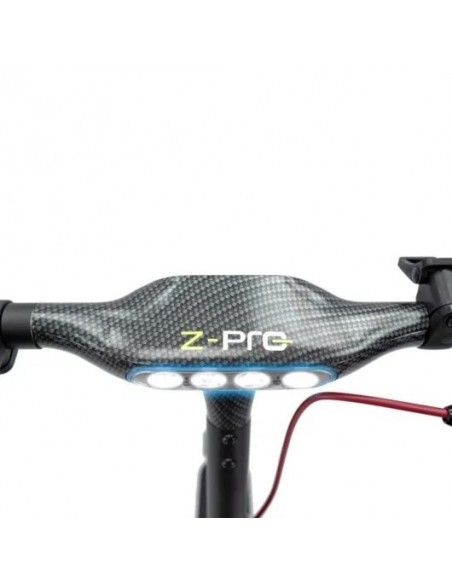 SmartGyro Z-Pro DGT Patinete Eléctrico 10" 600W Negro