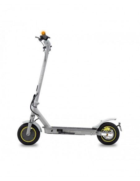 SmartGyro Z-Pro DGT Patinete Eléctrico 10" 600W Silver