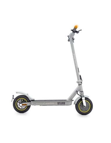 SmartGyro Z-Pro DGT Patinete Eléctrico 10" 600W Silver