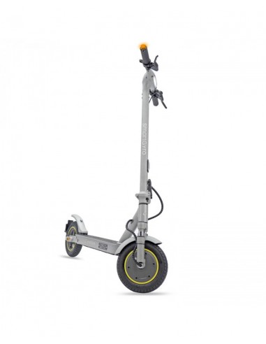 SmartGyro Z-Pro DGT Patinete Eléctrico 10" 600W Silver