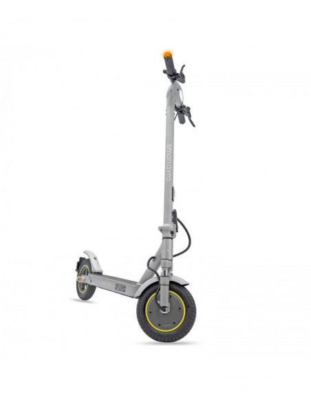 SmartGyro Z-Pro DGT Patinete Eléctrico 10" 600W Silver