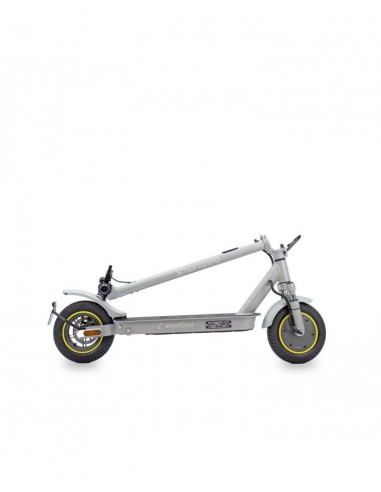 SmartGyro Z-Pro DGT Patinete Eléctrico 10" 600W Silver