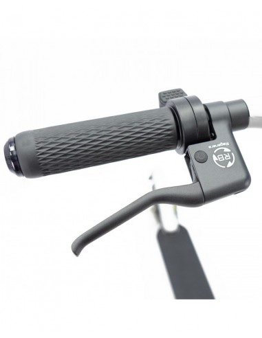 SmartGyro Z-Pro DGT Patinete Eléctrico 10" 600W Silver