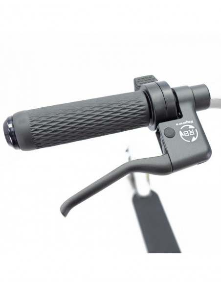 SmartGyro Z-Pro DGT Patinete Eléctrico 10" 600W Silver