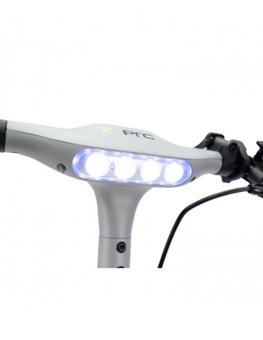 SmartGyro Z-Pro DGT Patinete Eléctrico 10" 600W Silver