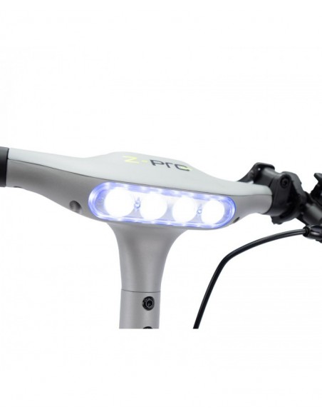 SmartGyro Z-Pro DGT Patinete Eléctrico 10" 600W Silver