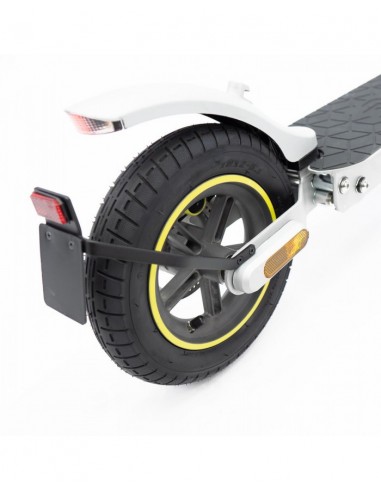 SmartGyro Z-Pro DGT Patinete Eléctrico 10" 600W Silver