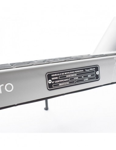 SmartGyro Z-Pro DGT Patinete Eléctrico 10" 600W Silver