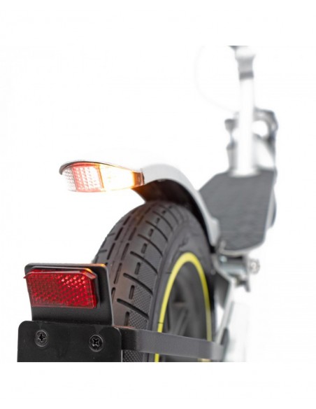 SmartGyro Z-Pro DGT Patinete Eléctrico 10" 600W Silver