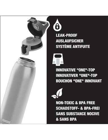 SIGG Botella Líquidos Shield ONE Brushed Plata 1L