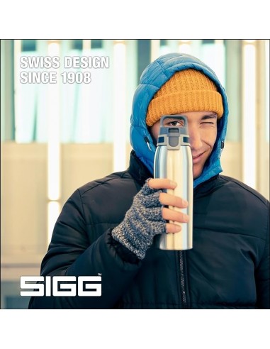 SIGG Botella Líquidos Shield ONE Brushed Plata 1L